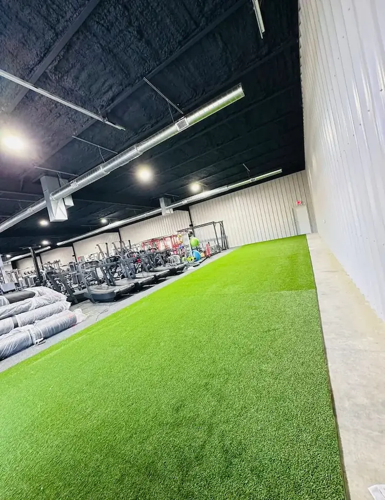 Artificial turf and xeriscape