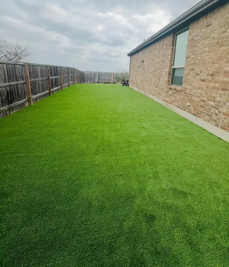 Complete yard makeover Central Texas
